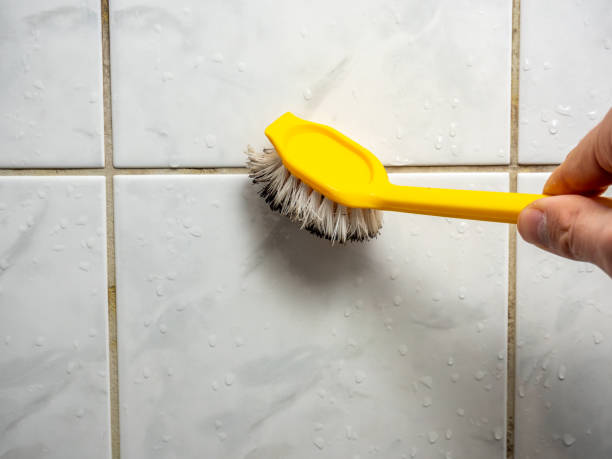 Best Attic Mold Removal  in La Mesilla, NM
